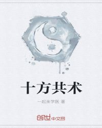 十方共术封面