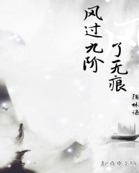 风过九阶了无痕封面