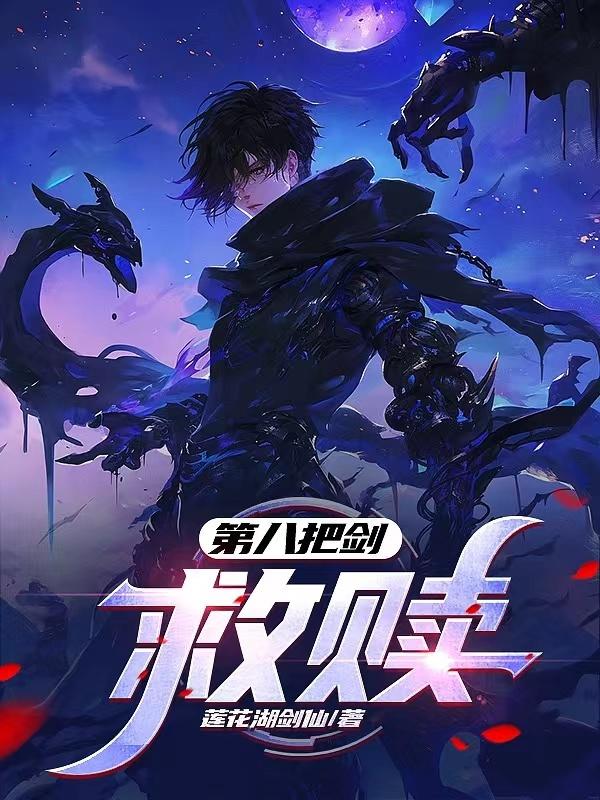 第八把剑:救赎封面