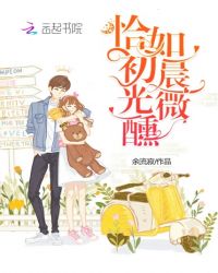 恰如初晨光微醺封面