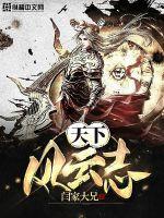 天下风云志封面
