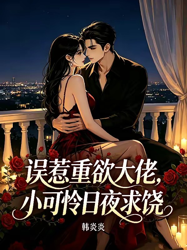 老公大二十七?没关系啊有钞能力封面