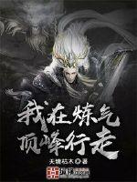 我在炼气顶峰行走封面