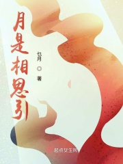 月是相思引封面