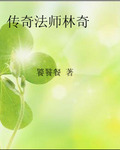 传奇法师林奇封面