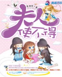 夫人使不得封面