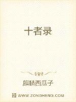 十者录封面