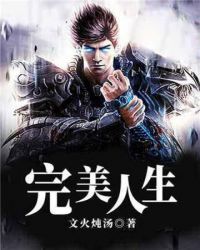 完美人生封面