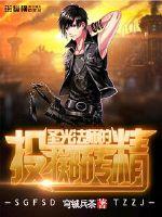 圣光法师的投掷砖精封面