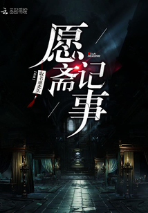 愿斋记事封面