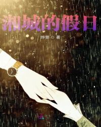 湘城的假日封面