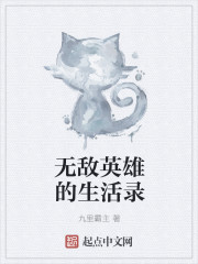 无敌英雄的生活录封面