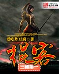 三国第一棍客封面