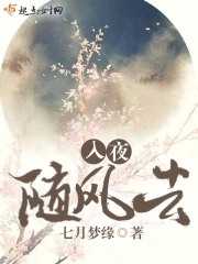 入夜随风去封面