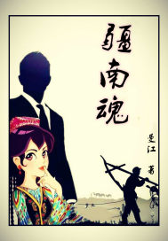 疆南魂封面
