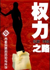 市委科员的沉沦与升华：权力之路封面
