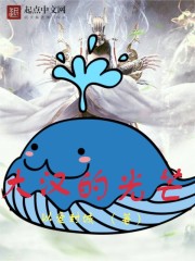 大汉的光芒封面