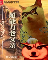 我爱罗的超能力老父亲封面
