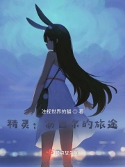 精灵：安吉尔的旅途封面