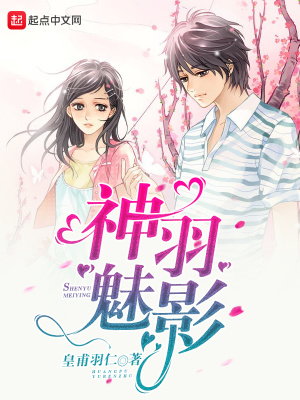 神羽魅影封面