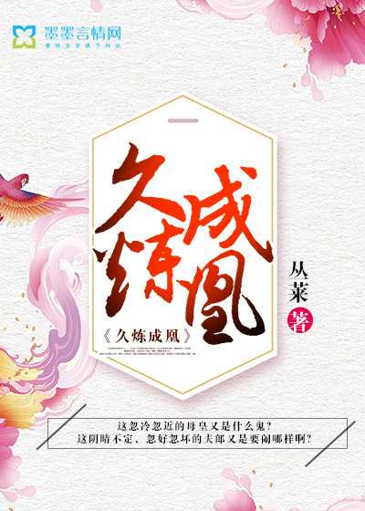 久炼成凰封面