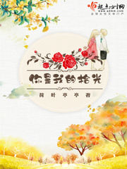 你是我的拾光封面