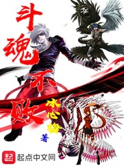 斗魂不败封面