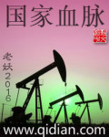 国家血脉封面