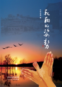 飞翔的姿势（全本）封面