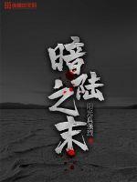 暗陆之末封面