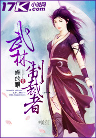 武林制裁者封面