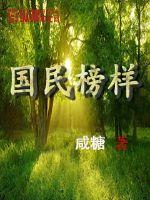国民榜样封面