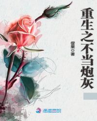 重生之不当炮灰封面