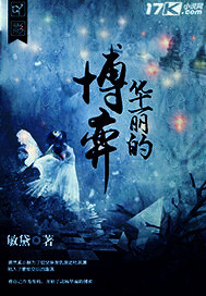 华丽的博弈封面