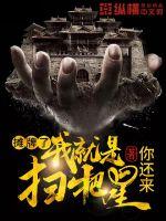 我就是扫把星封面