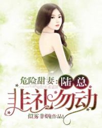 危险甜妻：陆总，非礼勿动封面