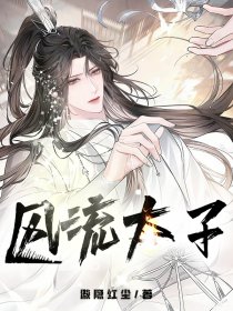 风流太子封面