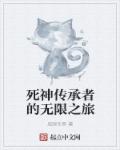 死神传承者的无限之旅封面