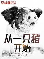 从一只猪开始封面