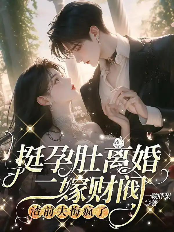 挺孕肚离婚二嫁财阀，渣前夫悔疯了封面