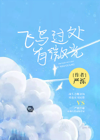 飞鸟过处有微光封面