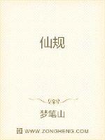 仙规封面