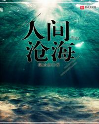 人间沧海封面