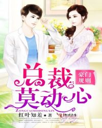 豪门规则——总裁莫动心封面
