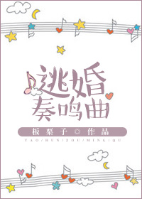 逃婚奏鸣曲封面