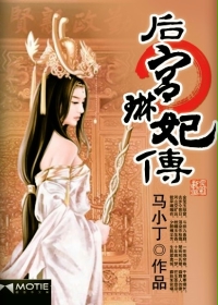 后宫琳妃传封面