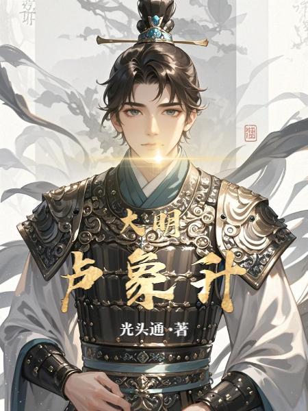 大明卢象升封面