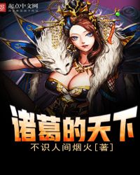 诸葛的天下封面