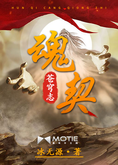 魂契苍穹志封面