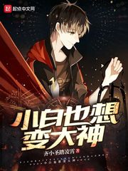 小白也想变大神封面